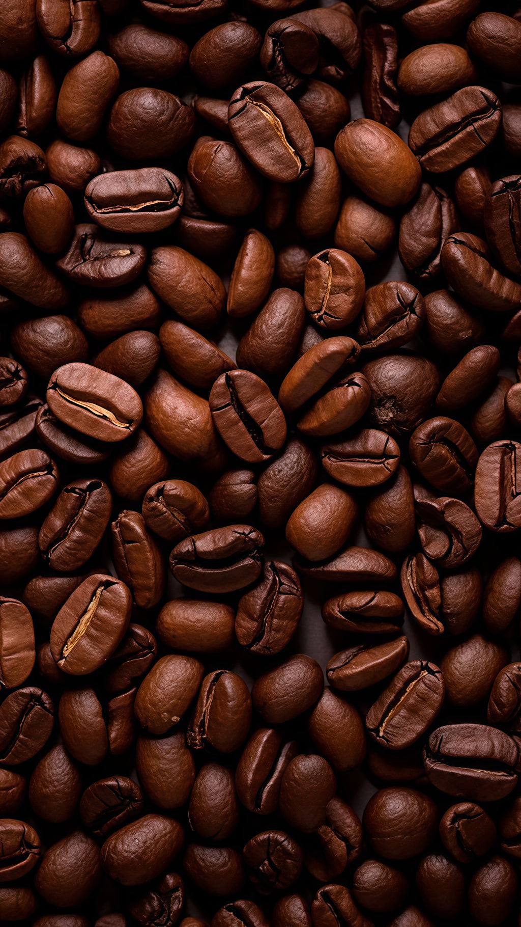 Performance Mushroom Coffee