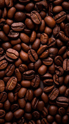 Performance Mushroom Coffee